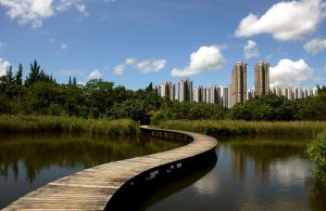Hong Kong Wet Land Park, local amusement parks