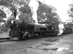 Puffing Billy Garratt G42 07