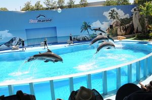 Zoomarine Algarve