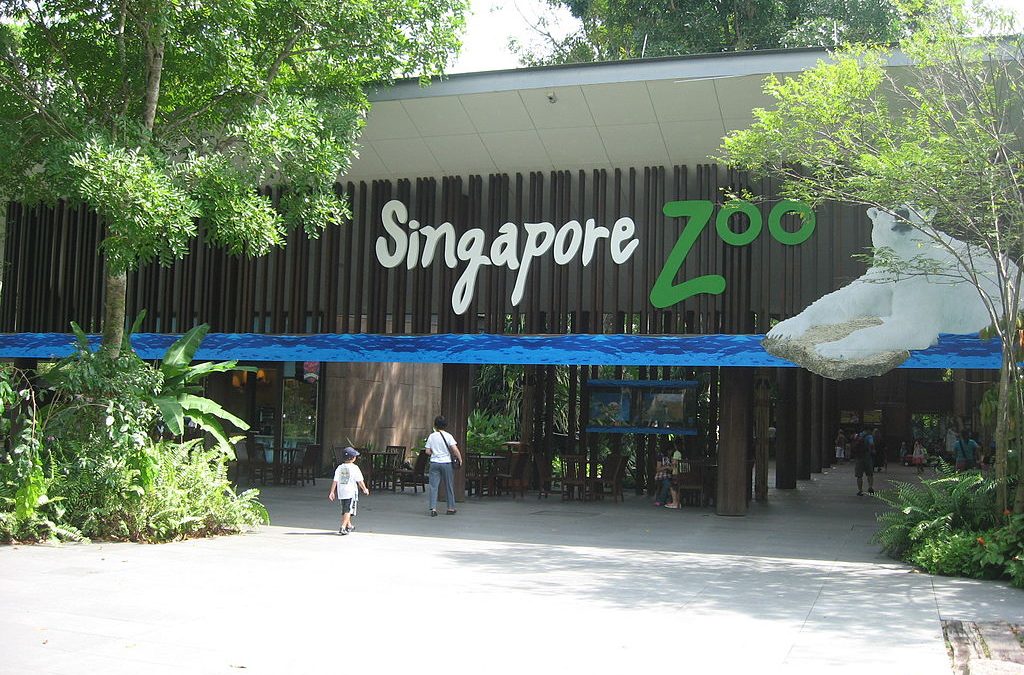 Top Places to Visit in Singapore with Kids – Fun-Filled Family Adventures