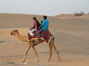 Family Travel