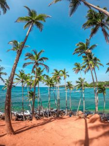 Mirissa Sri lanka