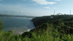 Jungle beach