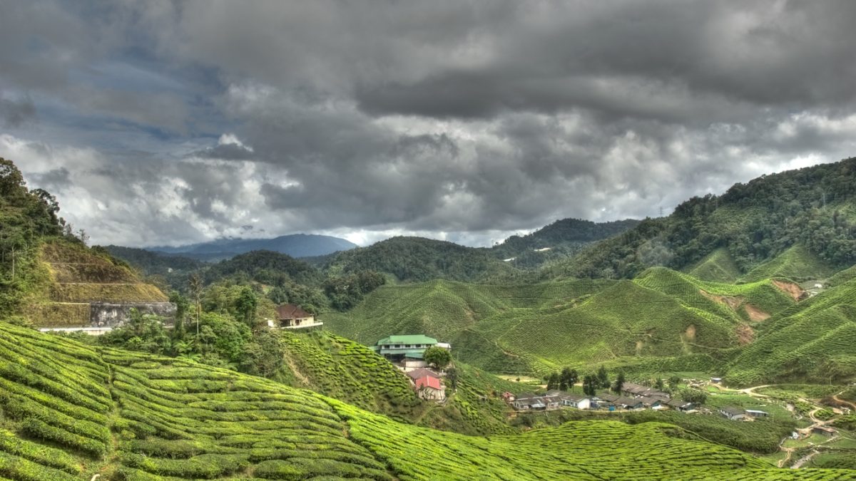 Exploring the Wonders of Malaysia
