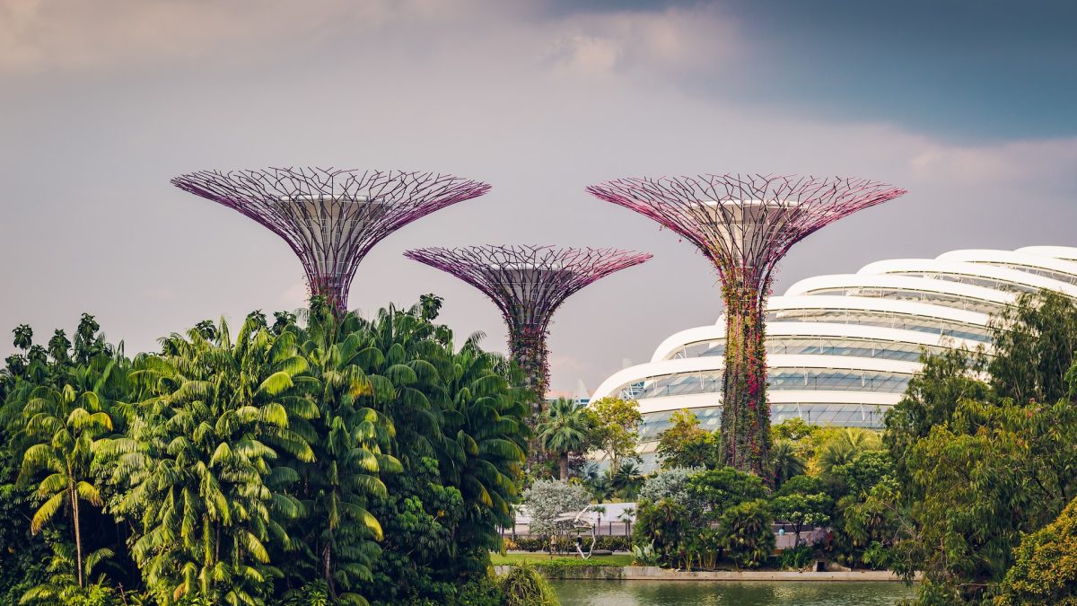 Family-Friendly Activities in Singapore