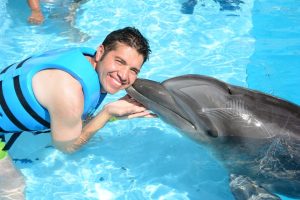 Swimming with Dolphins