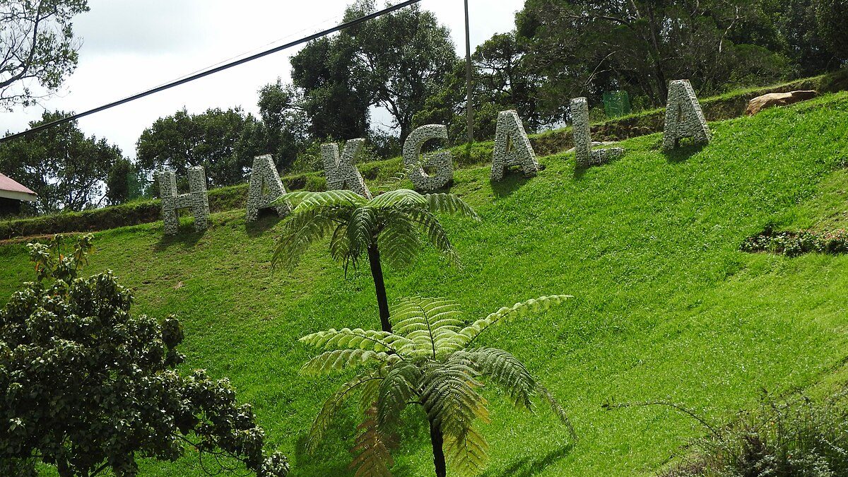 Discover the Serene Charms of Nuwara Eliya