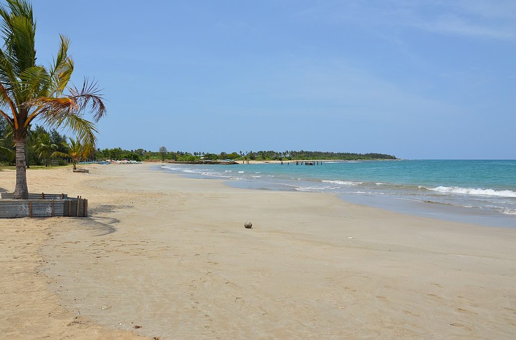 Planning a Family Trip to Sri Lanka – Essential Tips and Insights for an Unforgettable Adventure
