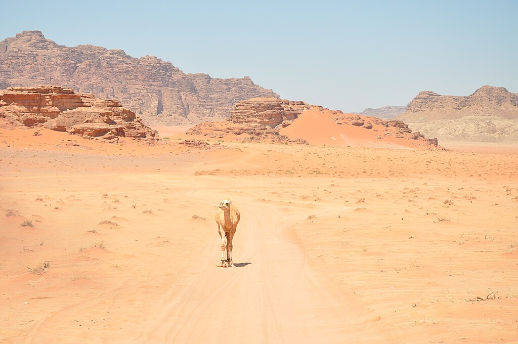 Desert_landscape