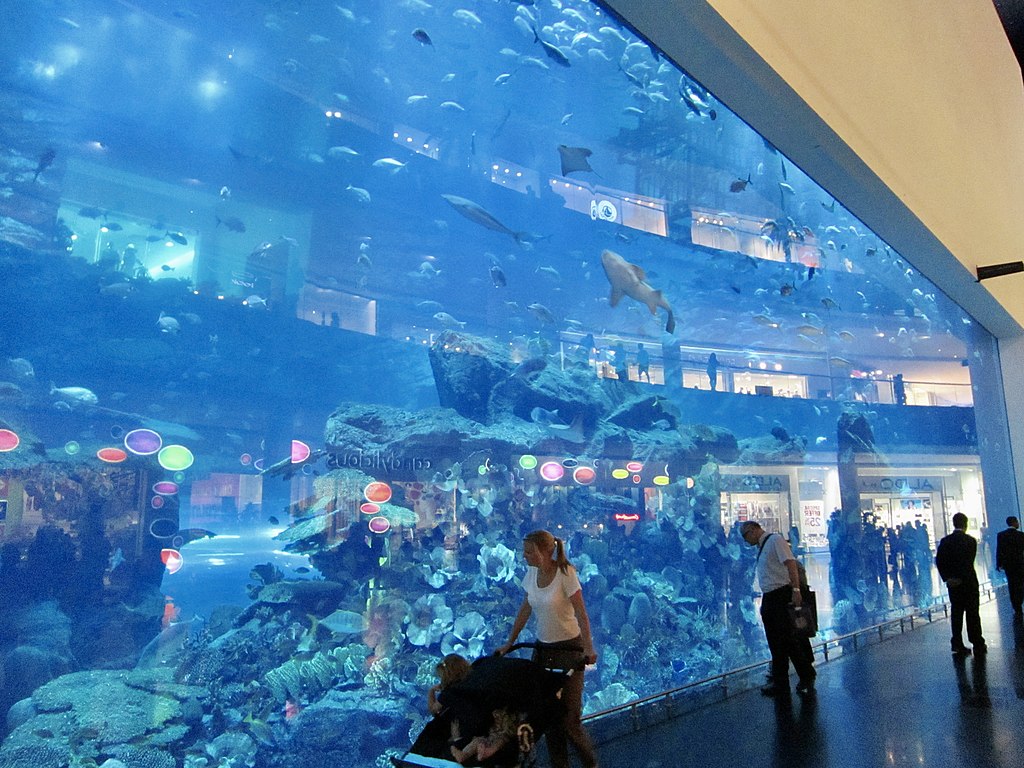 Aquarium_and_underwater_Zoo