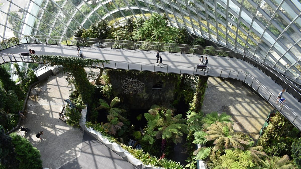 Sustainable Travel in Singapore: Eco-Friendly Attractions & Green Spaces