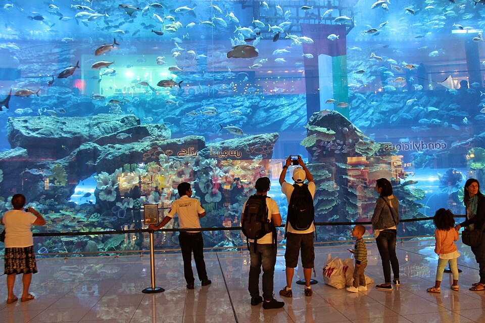 Your Next Stop: Why You Should Visit Dubai for Your Next Family Vacation
