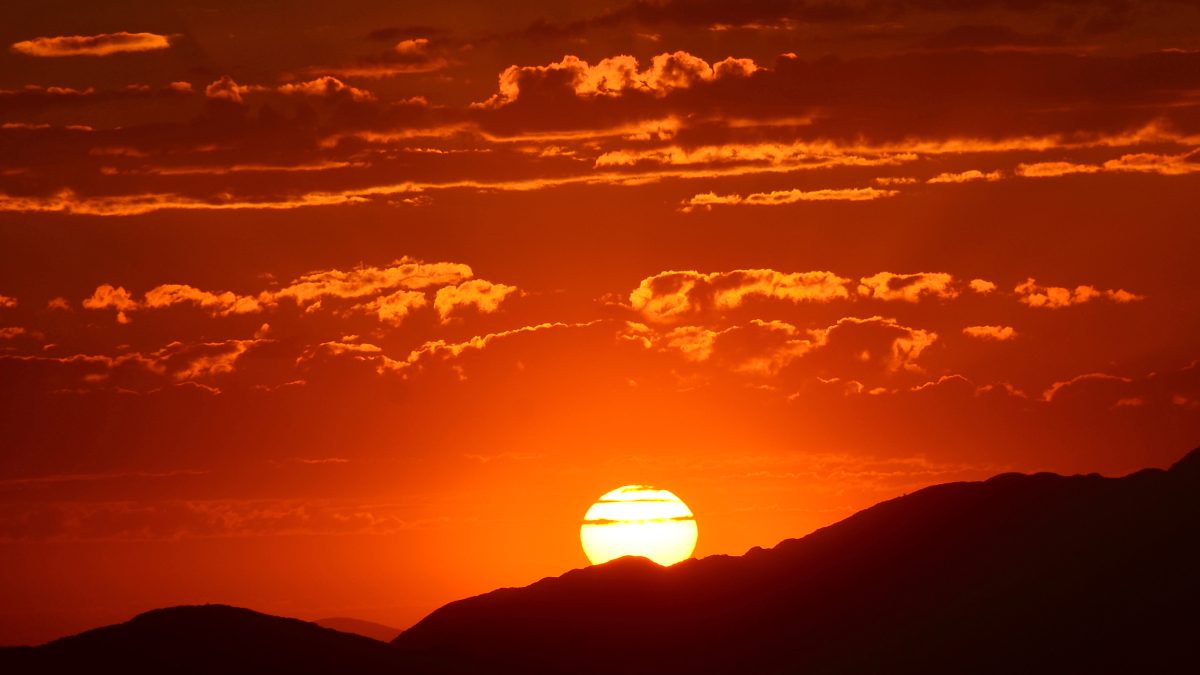 Namibia for Everyone: A Multi-Generational Family Guide to Windhoek’s History and Wildlife