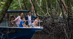 family-cruising-in-mangrove-river.