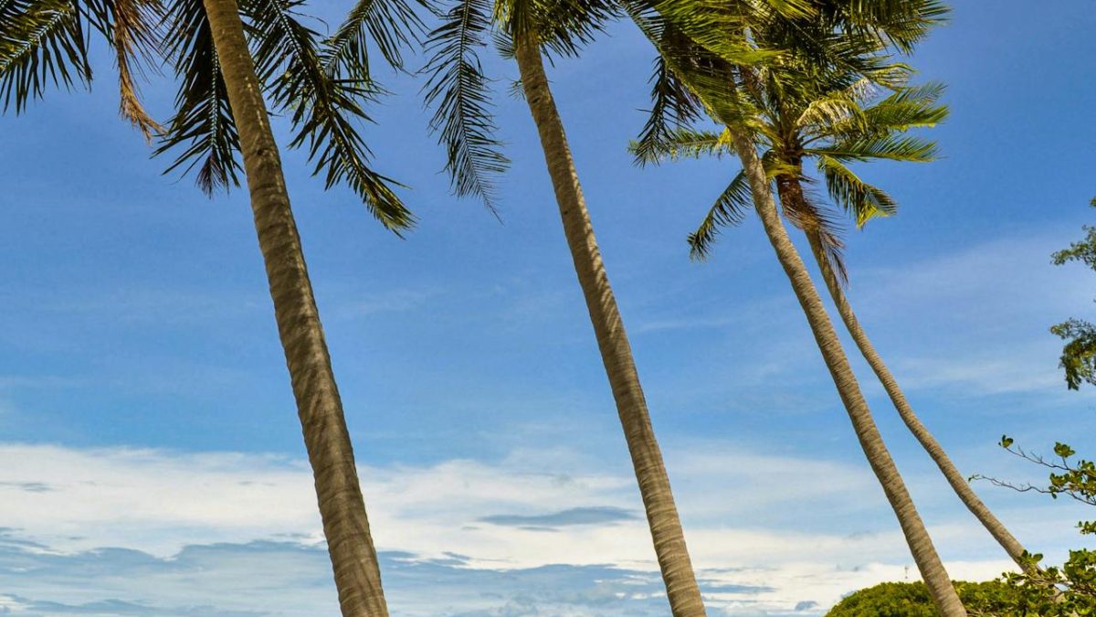Why Koh Samui Is Becoming a Favourite Island for Modern Travellers – New Energy, New Experiences