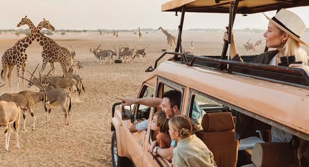 Planning Your First Visit to Sir Bani Yas Island? Here’s What to Expect