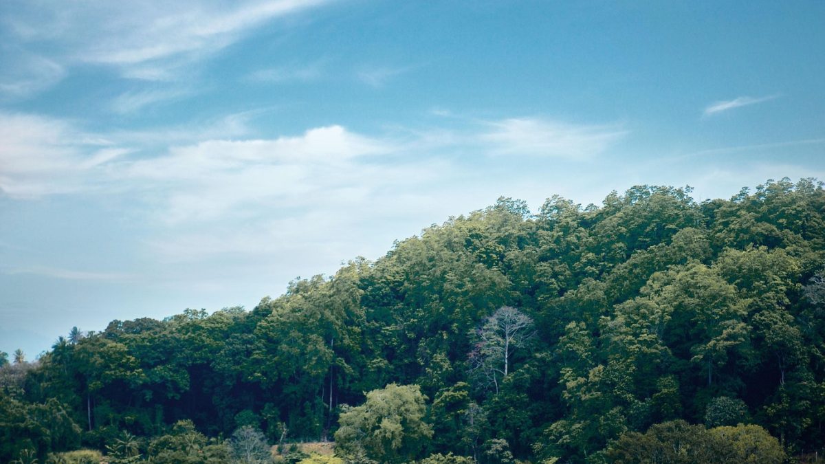 Planning a Winter Holiday? Don’t Miss Kandy’s Scenic Escapes