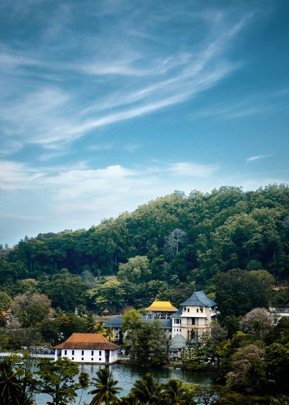 Planning a Winter Holiday? Don't Miss Kandy's Scenic Escapes
