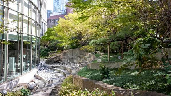 Top 5 Hotels in Shibuya for Families Seeking Dining, Attractions, & Easy Station Access