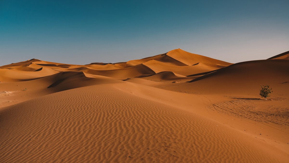 A Family Friendly Dubai Desert Safari Guide Timing Safety and What to Pack