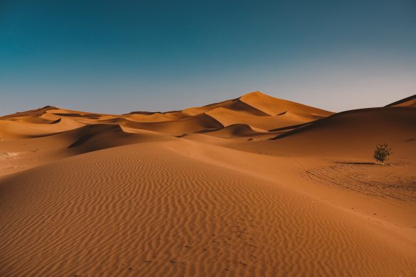 A Family Friendly Dubai Desert Safari Guide Timing Safety and What to Pack